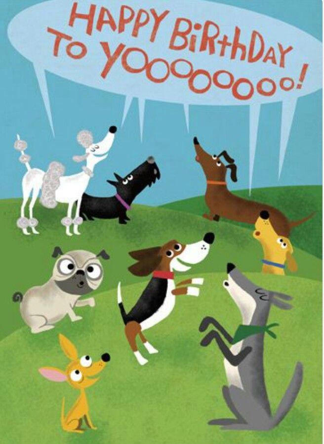 e73da21928acec7334122a645bbbd30f--happy-birthday-dog-happy-birthday-quotes-2382920005.jpg