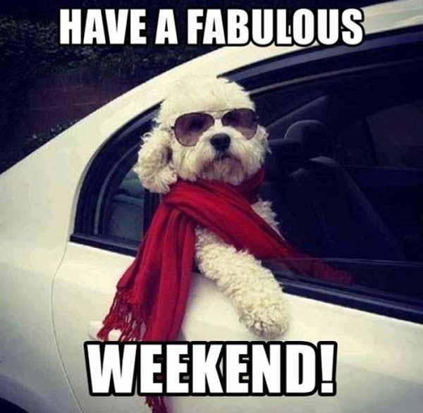 have-a-fabulous-weekend-3159214745.jpg