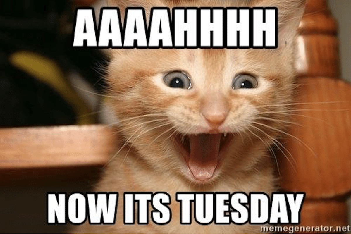 happy-tuesday-memes-funny-1066531787.jpg